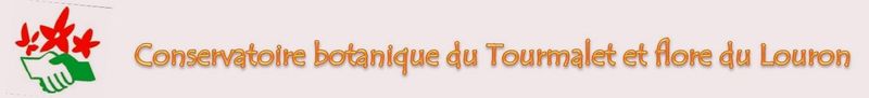 Conservatoire_botanique_du_Tourmalet_et_flore_du_Louron