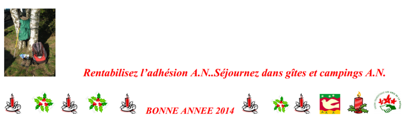 Bonne Annee 2014